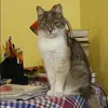 Отзыв от Динара Исаева